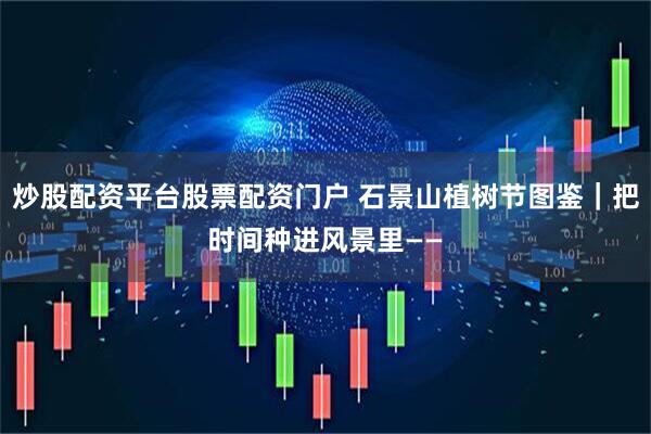 炒股配资平台股票配资门户 石景山植树节图鉴｜把时间种进风景里——